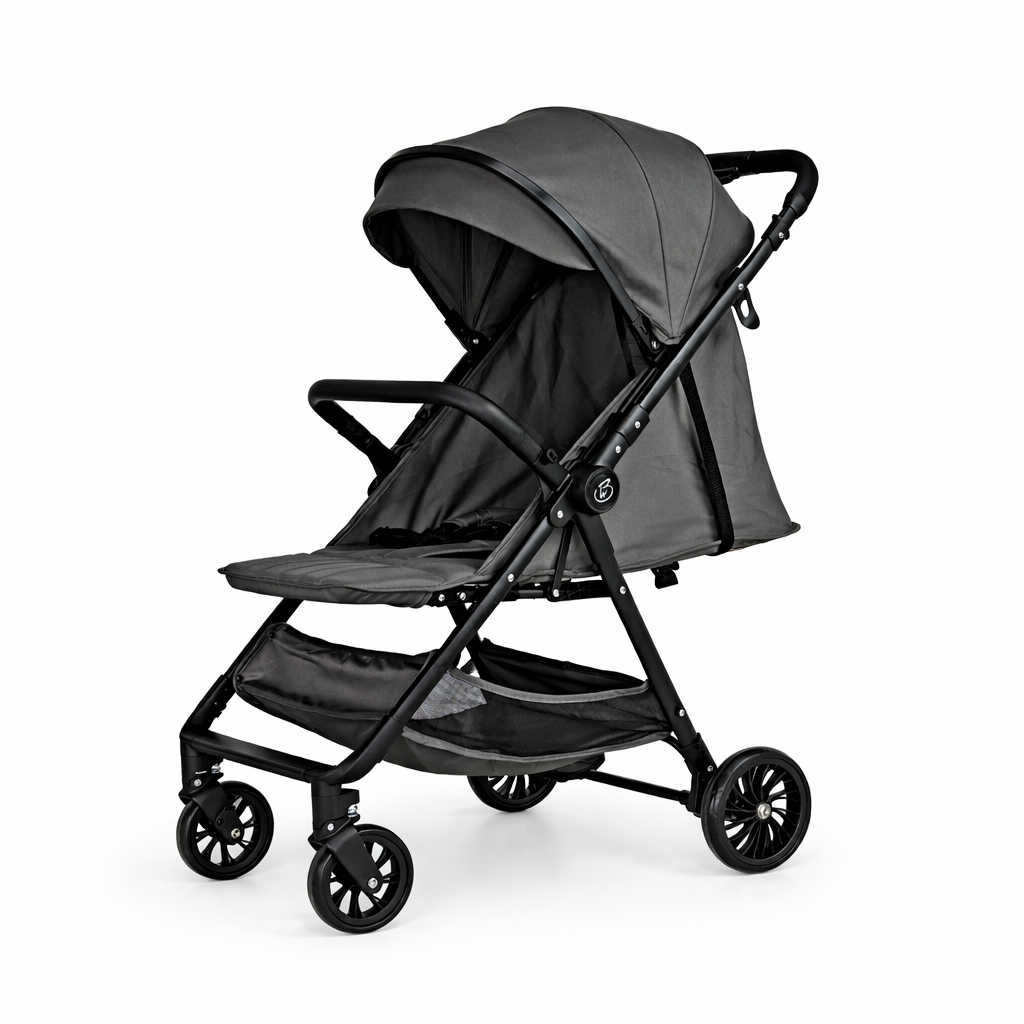 Roam Switch Lightweight Reversible Handlebar Compact Baby Stroller - CHARCOAL