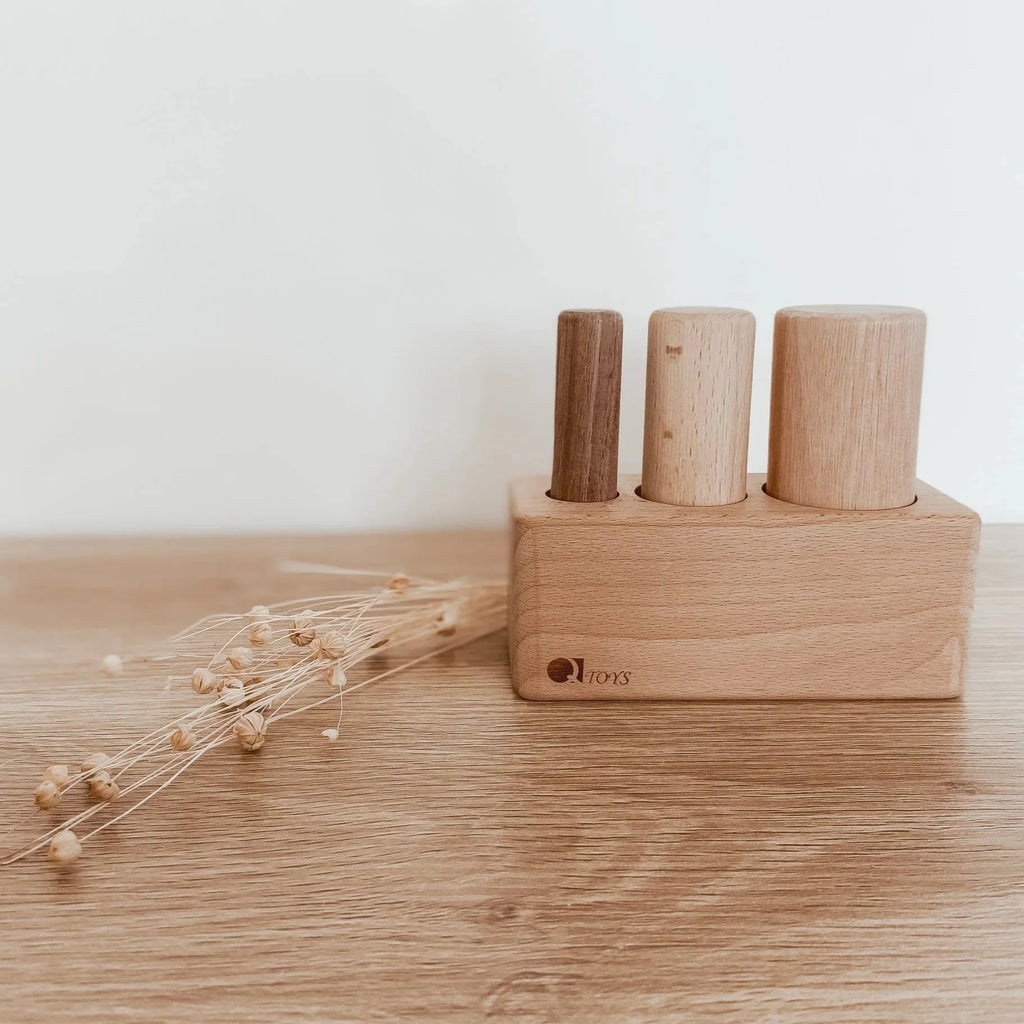 Wooden Pole Puzzle - QToys | Wooden Toy NZ
