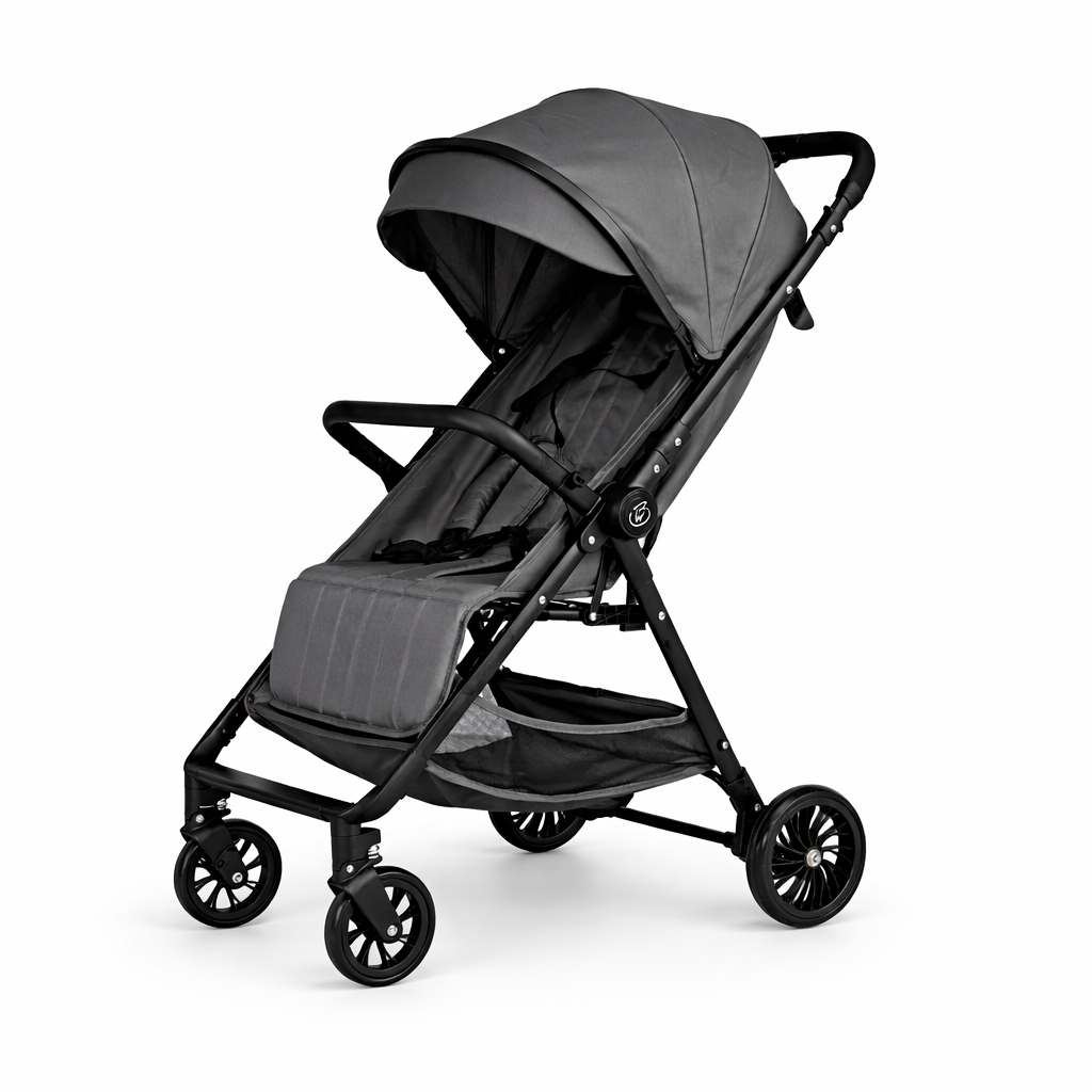 Roam Switch Lightweight Reversible Handlebar Compact Baby Stroller - CHARCOAL