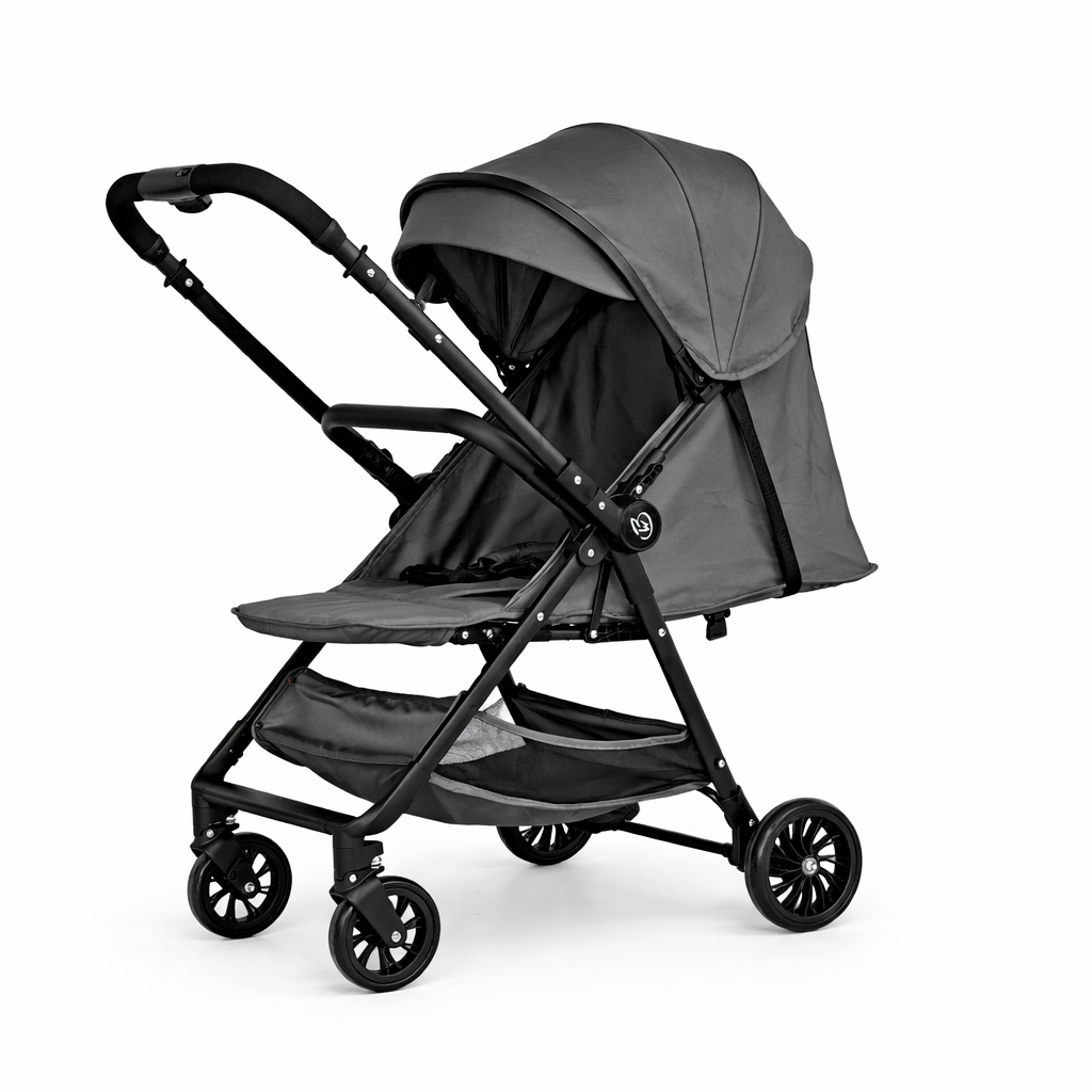 Roam Switch Lightweight Reversible Handlebar Compact Baby Stroller - CHARCOAL