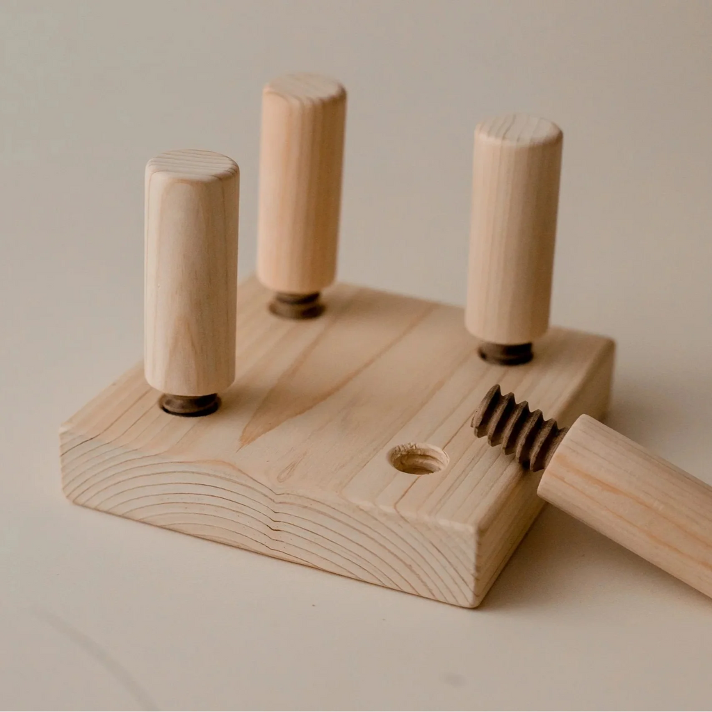 Wooden Screw Game – QToys | Sensory Toy NZ
