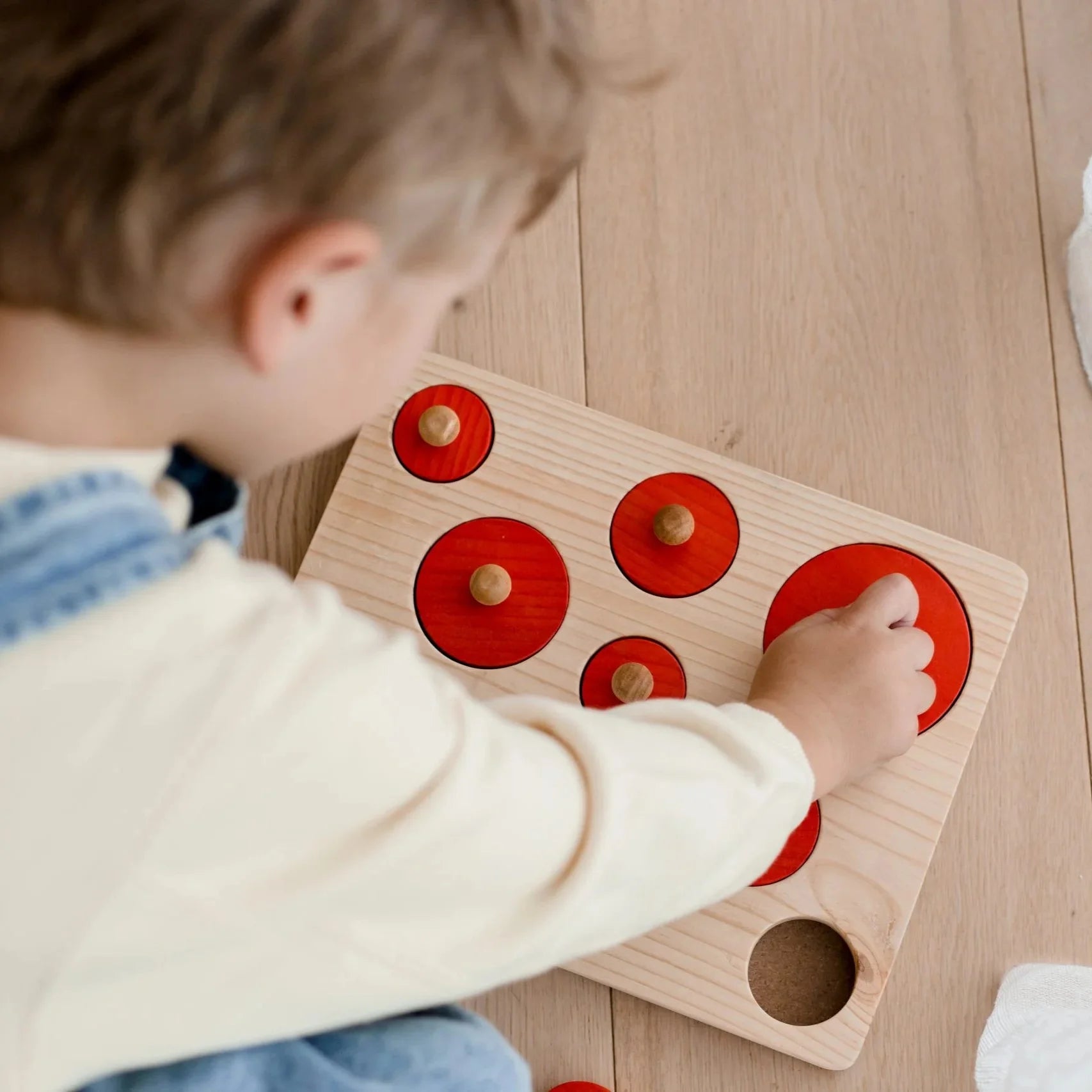 Montessori Size Sorting Knob Puzzle - Qtoys | Wooden Toy NZ