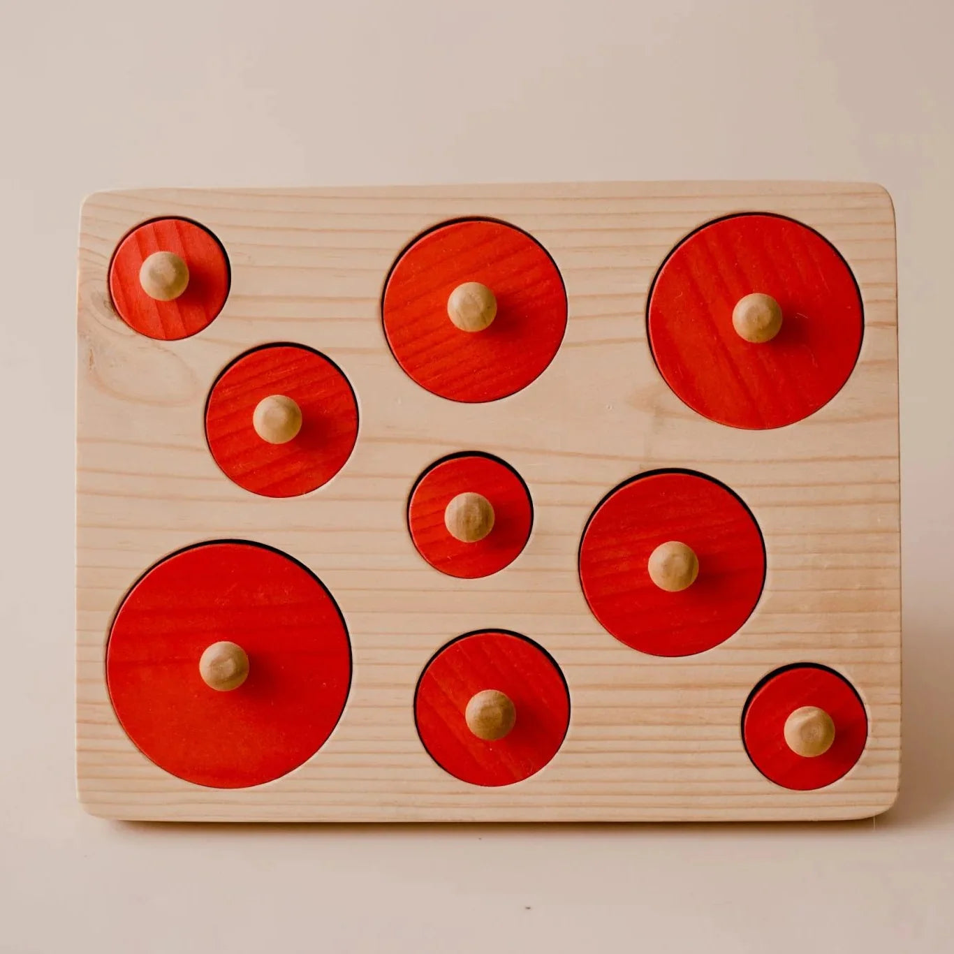 Montessori Size Sorting Knob Puzzle - Qtoys | Wooden Toy NZ